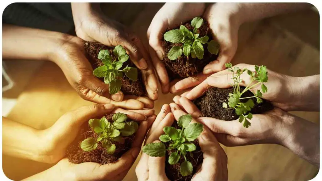 a group of hands holding plants and soil