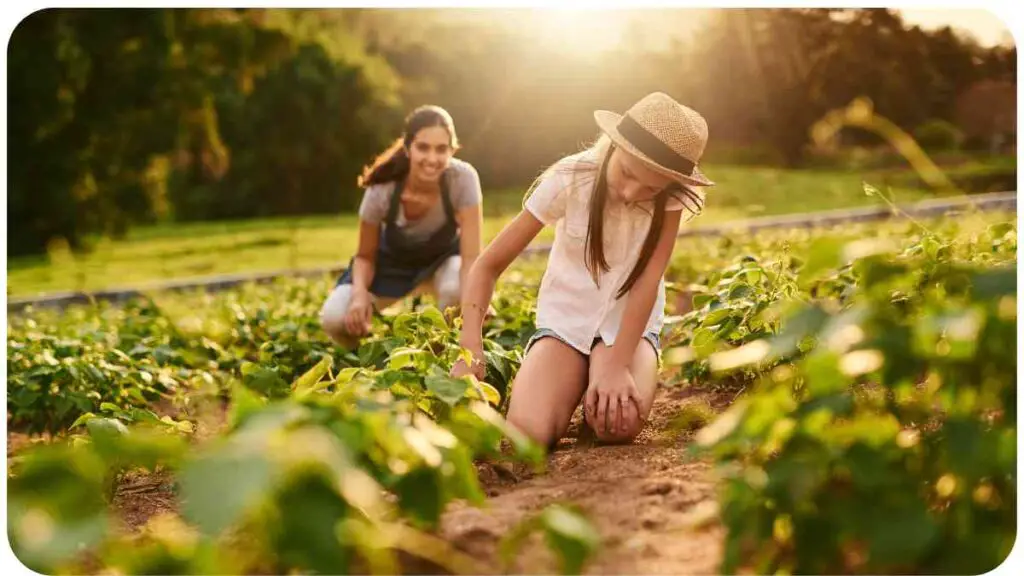 two people in the middle of a field picking vegetables